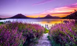 Featured image of post Transitions